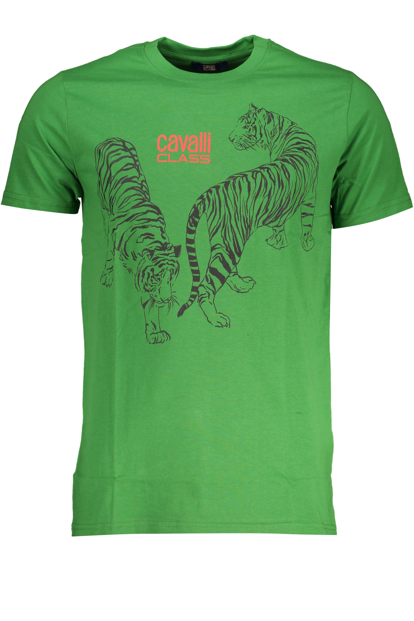 T-shirt CAVALLI CLASS για άνδρες – Πράσινο