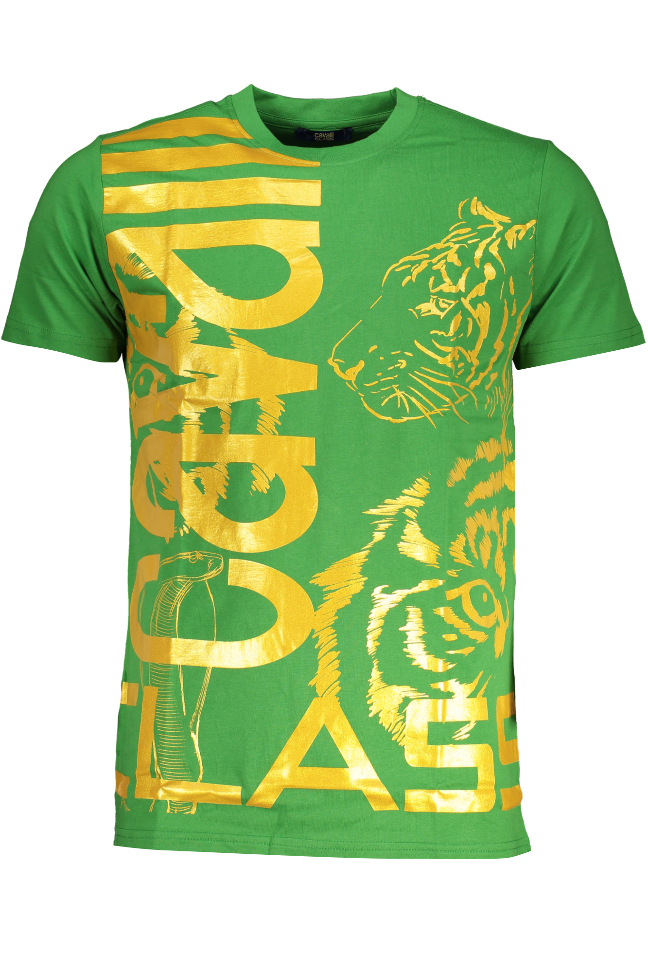 T-shirt CAVALLI CLASS για άνδρες – Πράσινο