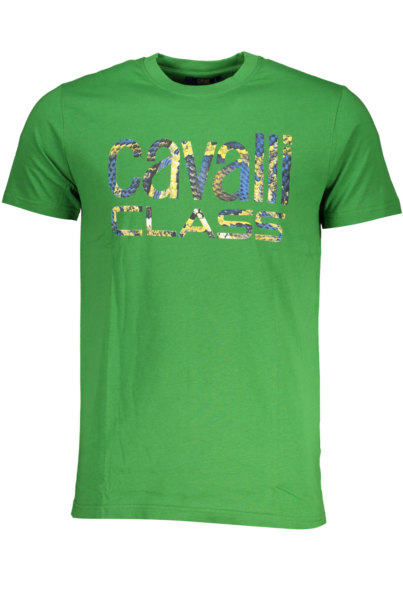 T-shirt CAVALLI CLASS για άνδρες – Πράσινο
