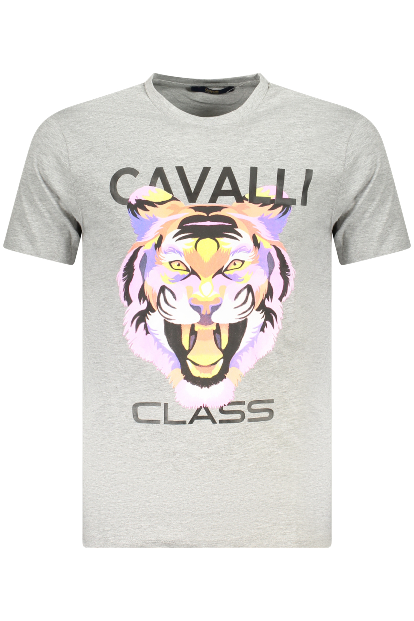 T-shirt CAVALLI CLASS για άνδρες – Γκρι
