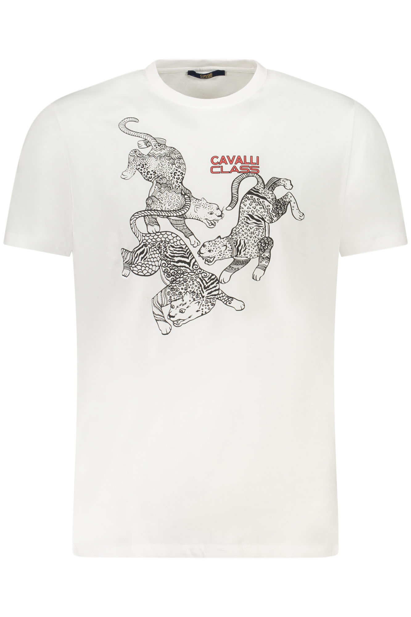 T-shirt CAVALLI CLASS για άνδρες – Λευκό