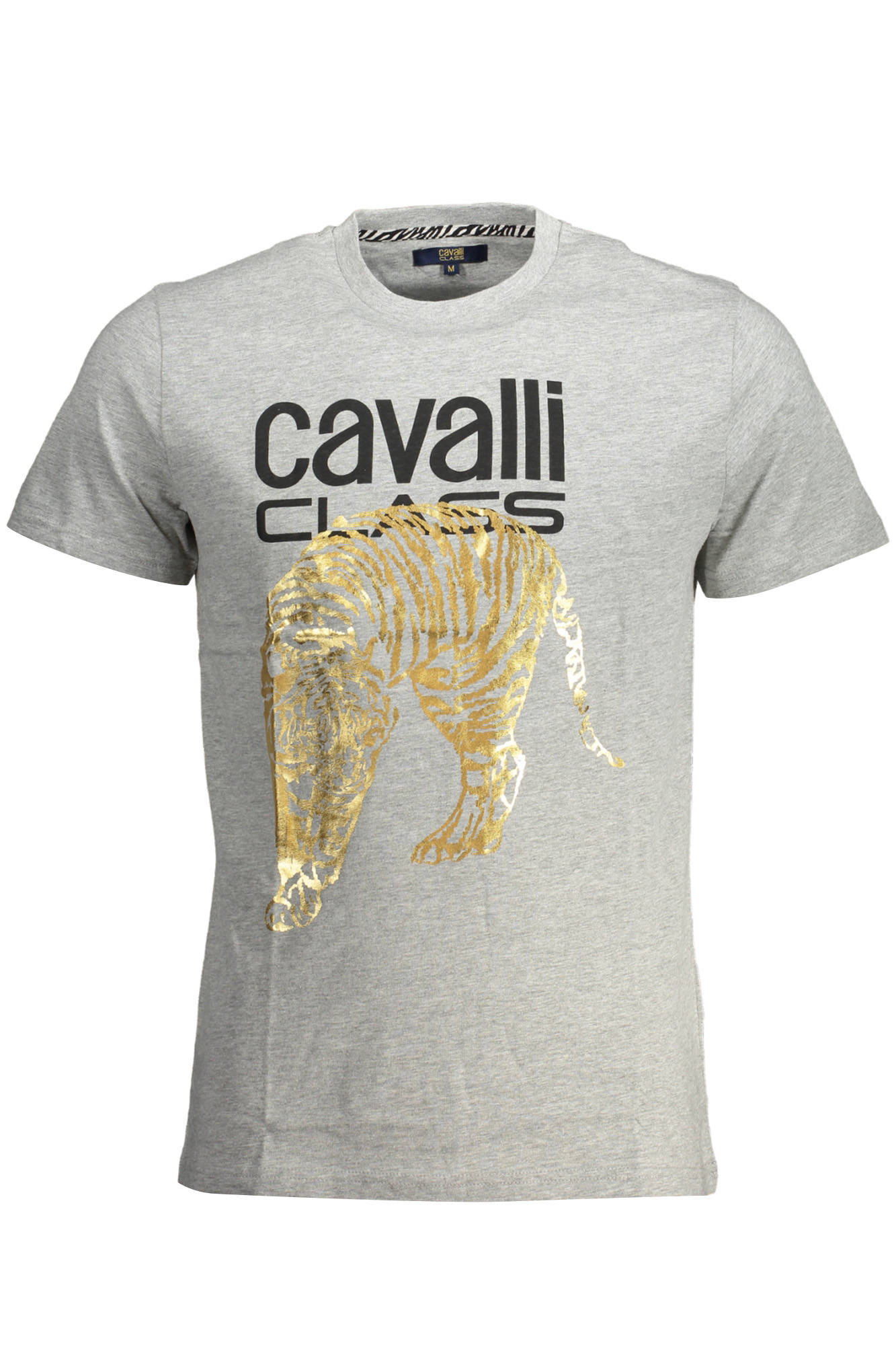 T-shirt CAVALLI CLASS για άνδρες – Γκρι