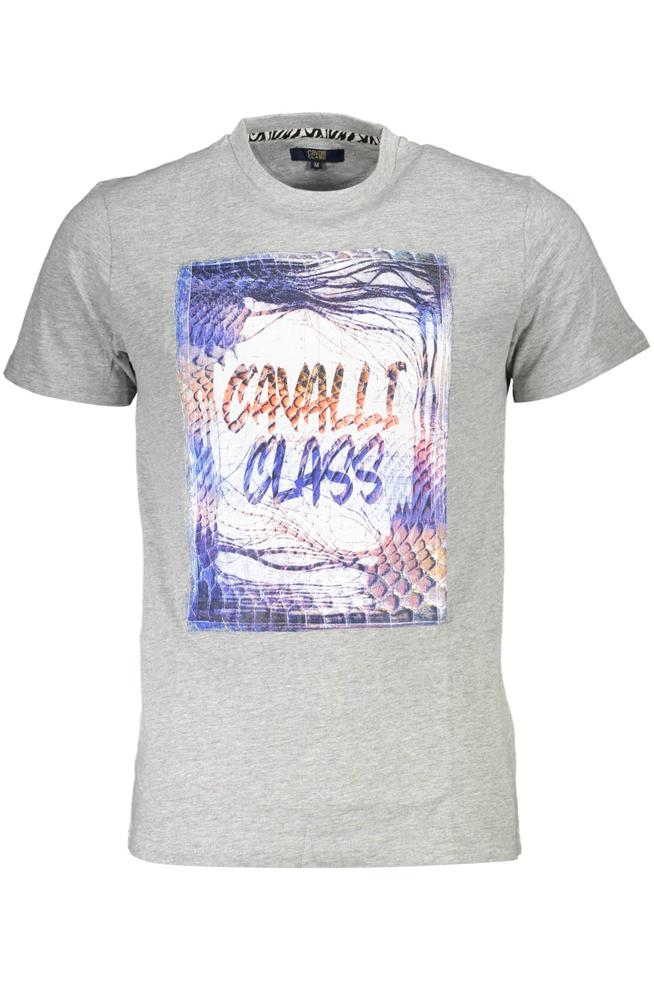T-shirt Cavalli Class για άνδρες – Γκρι