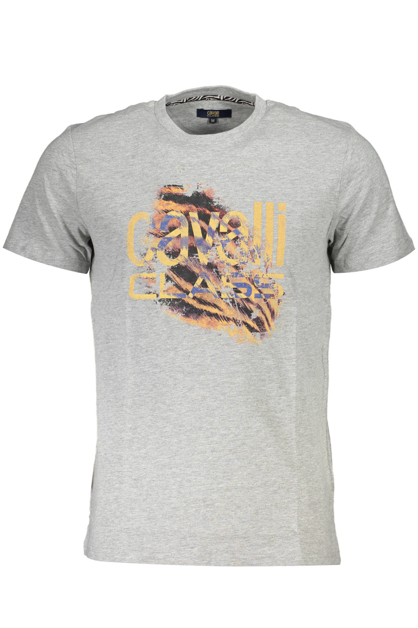 T-shirt CAVALLI CLASS για άνδρες – Γκρι