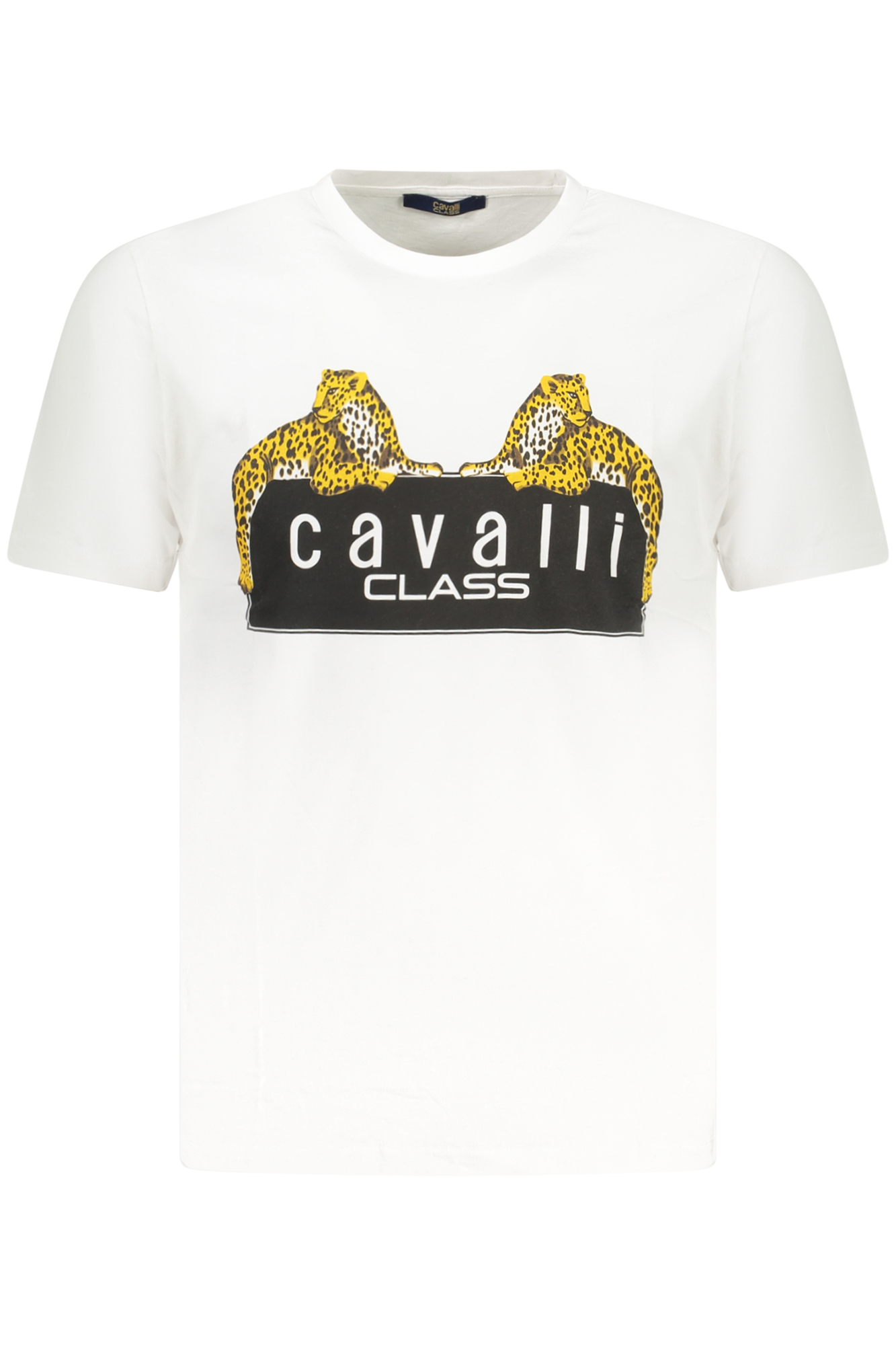 T-shirt CAVALLI CLASS για άνδρες – Λευκό